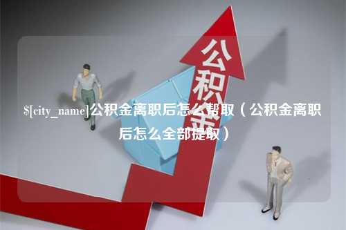 益阳公积金离职后怎么帮取（公积金离职后怎么全部提取）